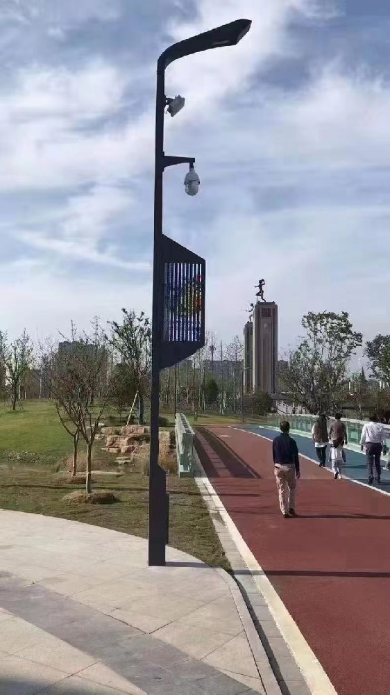 海南某公園10米智慧路燈